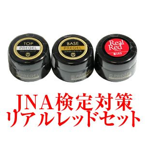 ジェル検定　初級、中級、上級(プリジェル17点セット) プリジェル カラーEX ジェル検定初級セットIII | Nail Labo Online