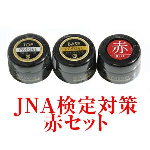 プリジェルミューズ ジェル検定初級セットⅡ | ジェルネイルショップ