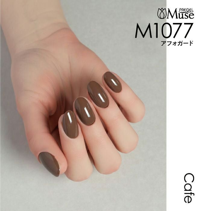 プリジェルミューズ／アフォガード／３ｇ