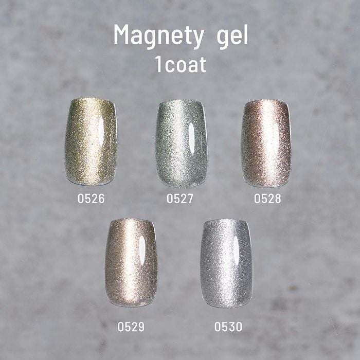 エメナ マグネティジェル5色セット0526～0530 | ジェルネイル